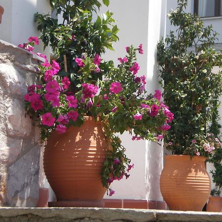 Hotel Pelion Resort Портария Экстерьер фото